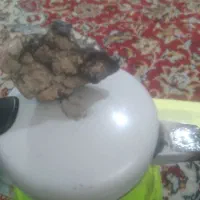 لوازم پزشکی