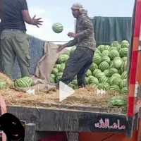 هندوانه