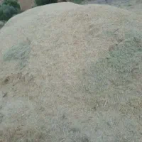 علف‌گزره‌سارال