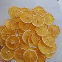 کار در میوه خشک کنی