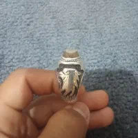انگشتر باباقوری استاددانشور