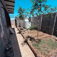 سالن گاوداری با جواز و خانه
