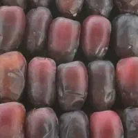 کارتون درجه یک