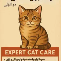 پانسیون خانگی گربه