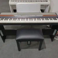 پیانو کرگ SP 250 حامر اکشن