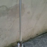 الحاقی علف زن