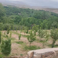 باغ ویلا کاهو