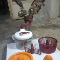 اب میوه گیر دستی و سبزی خورد کن