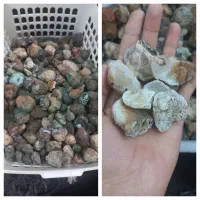 عقیق توپی و عقیق سفید