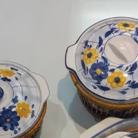 ظروف گل پنبه ایی