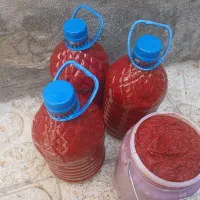 رب گوجه فرنگی