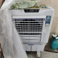 کولرابی