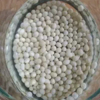 خاویار حلزون
