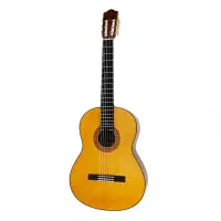 گیتار یاماها c70