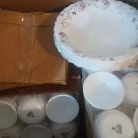 ارکوپارسس