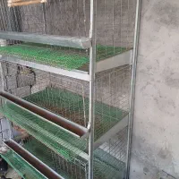 قفس صنعتی برای مرغ و جوجه
