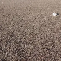 سورن پلاس ۴۰۱