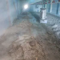 کود مرغ بومی