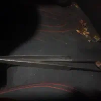 قیچی گوسفند چینی. یا چره