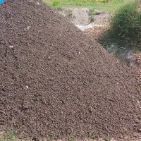 کود گوسفندی