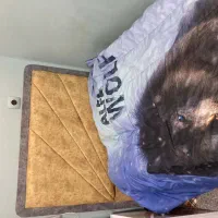 تختخواب جوان تمام ام دی اف