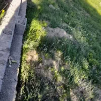 فروش باغ ویلایی سپیدان