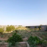 فروش زمین مزروعی