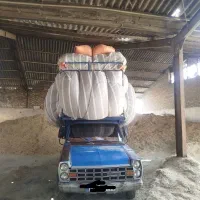 کاه گندم و جو