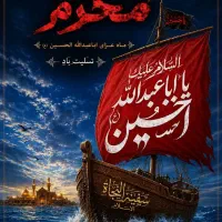 همراه صفر اربعین تنها میخواهم برم