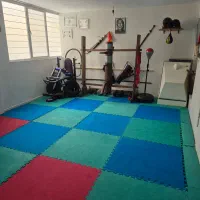 آموزش وینگچون
