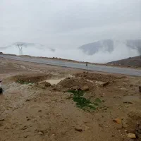 فقط۱۷میلیون