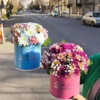 باکس گل اقتصادی