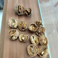 انواع خشکبار