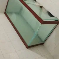 اکواریوم