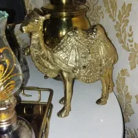 شتر برنزی