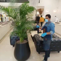 باغبانی کاشت باغچه گل و گیاه تعویض خاک گلدان درمحل