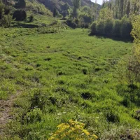 فروش زمین در متراژ مختلف در فیروز کوه