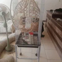 قفس پایه دار در حد نو