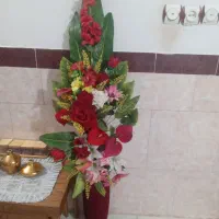 گل زیبا مفت..