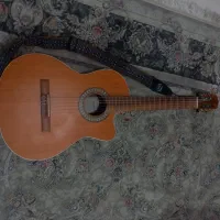 گیتار پارسی M5