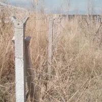 تیر باغی سالم ۲،۴۰ سانت