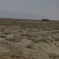 زمین-دیم-پنج-هکتاری-سند-تک-برگ