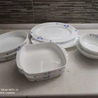 ظرف غذا خوری