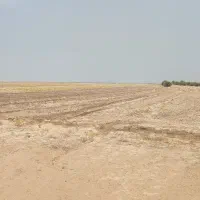 زمین کشاورزی