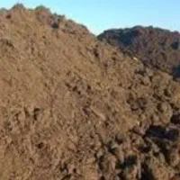 فروش کود گوسفندی