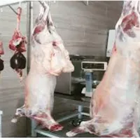 قصابی زنده گوسفند یا کاور ،گوساله سرابقامیش