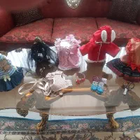 وسایل سگ وگربه