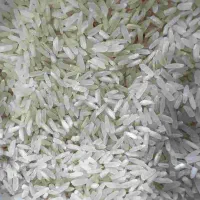 بازرگانی طاها (برنج،چای،بادام زمینی)