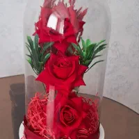گل کادویی