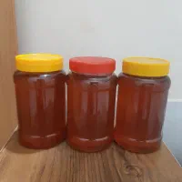 عسل کناروبهاره